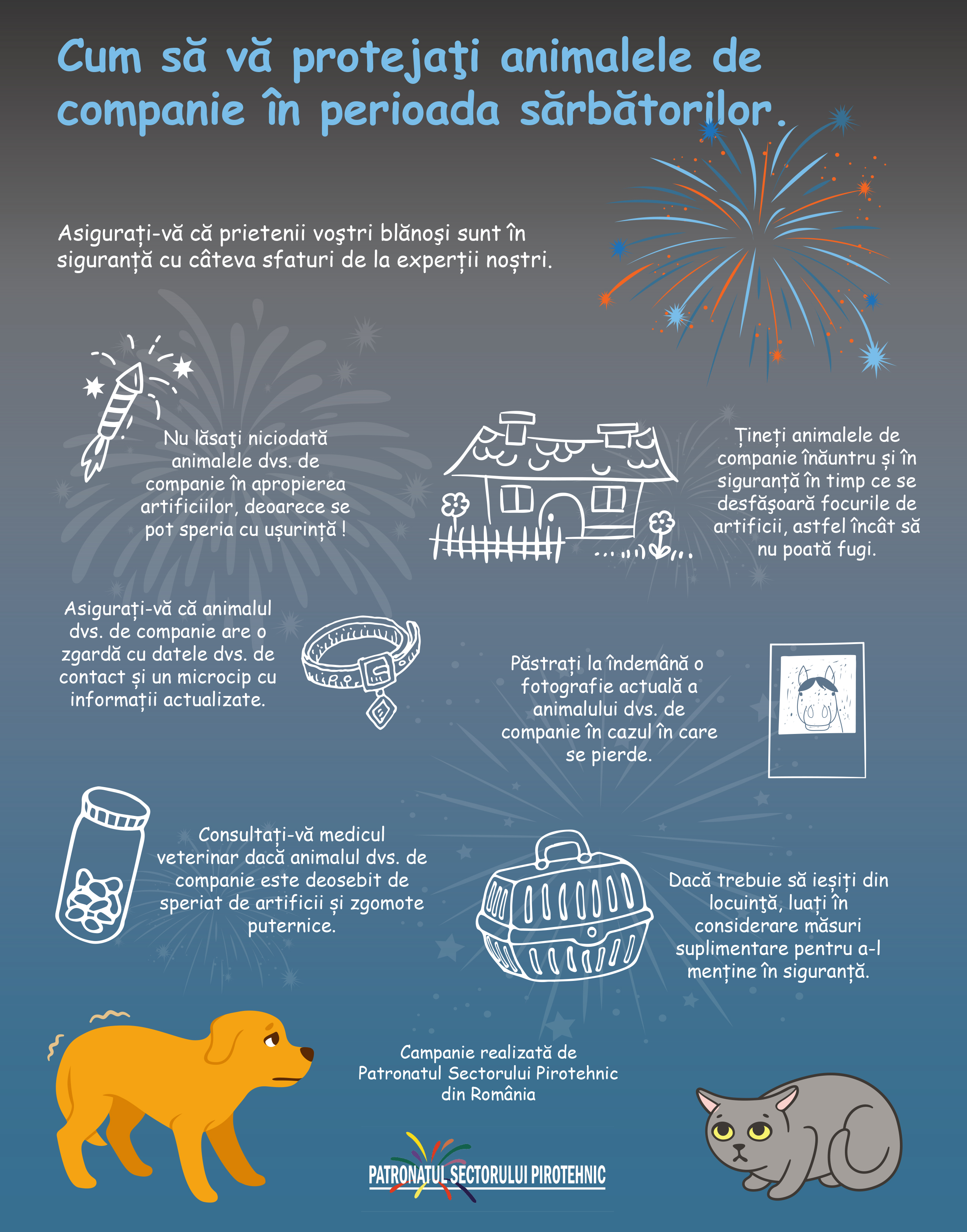 cum sa iti protejezi animalul de companie