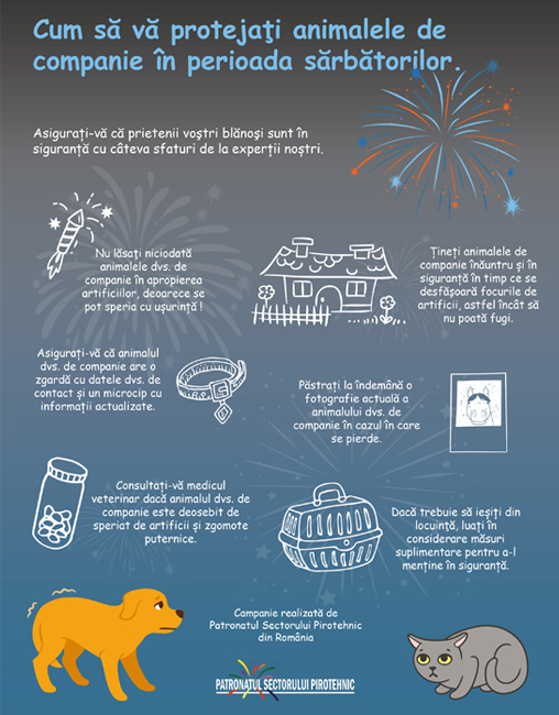 cum sa iti protejezi animalul de companie